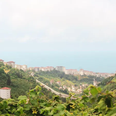 Сasa de vacaciones Homywood Trabzon
