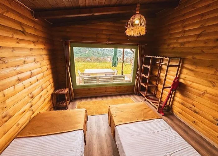 Casa vacanze Homywood *