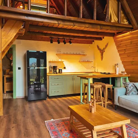 Homywood * ترابزون