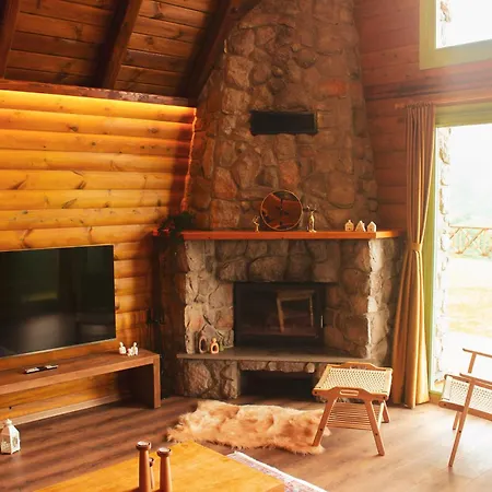 Homywood بيت للعطل ترابزون