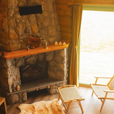 Homywood ترابزون