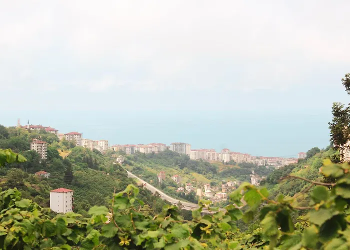 Semesterbostad Homywood Trabzon